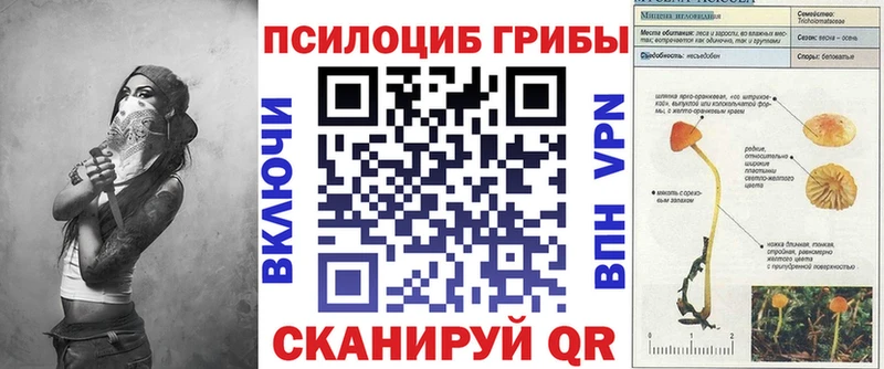 это клад Кизел Галлюциногенные грибы GOLDEN TEACHER