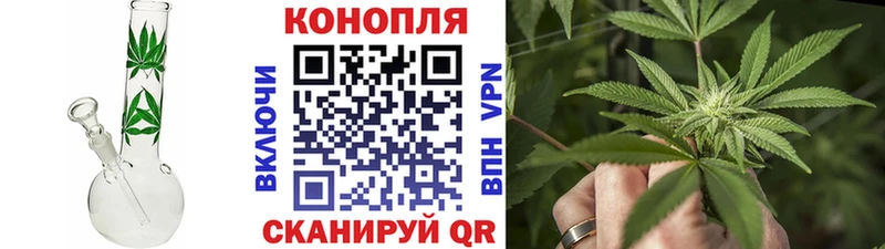 Бошки Шишки White Widow  Кизел 